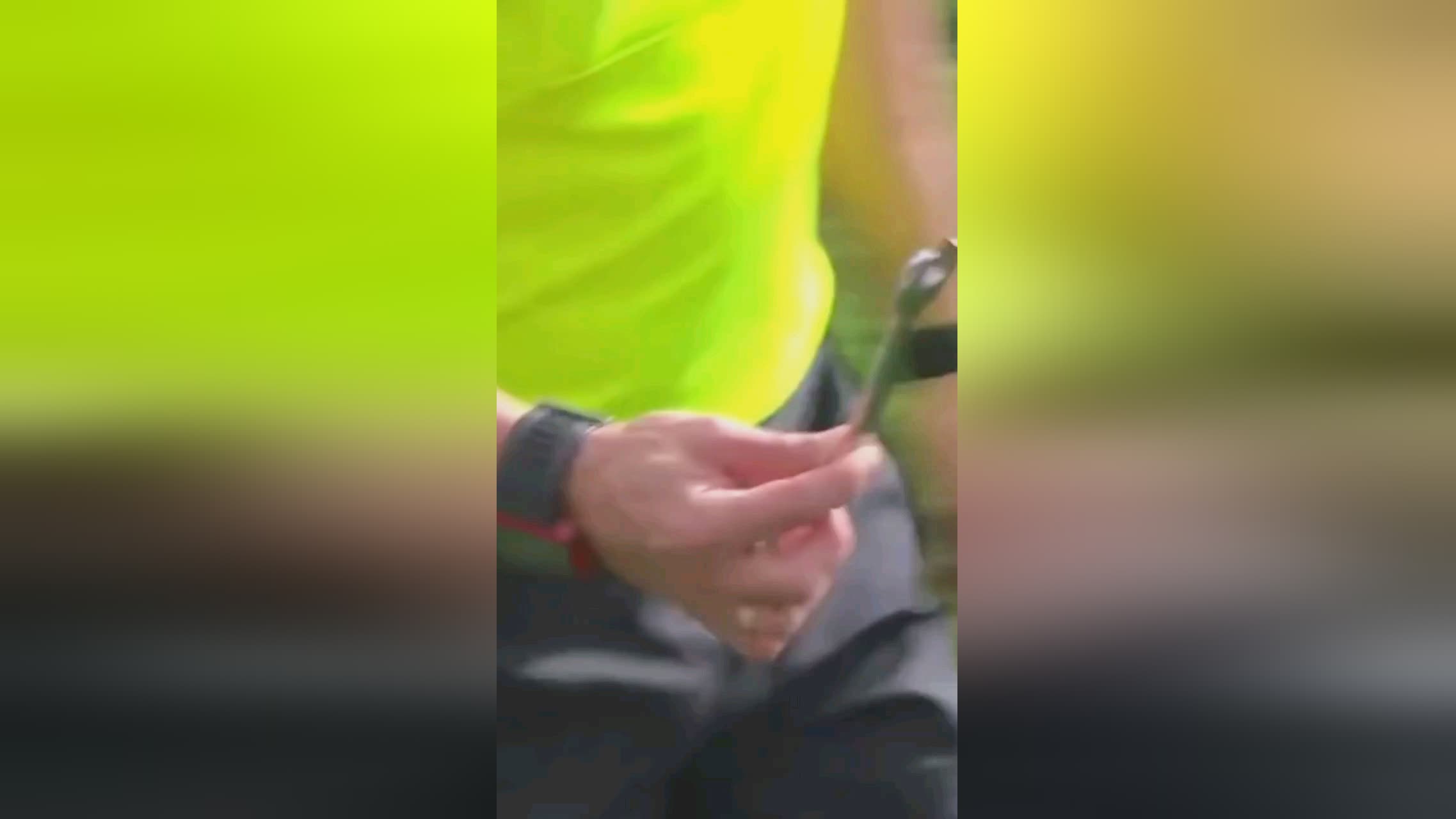 丁选择自